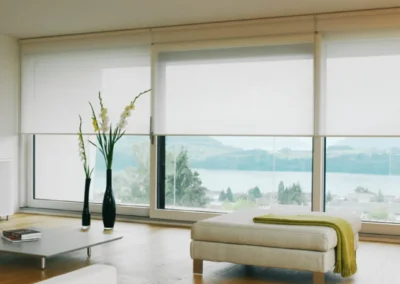 Wohnzimmer mit Springrollos in natürlichen Farben für eine angenehme Lichtregulierung und gemütliche Atmosphäre.